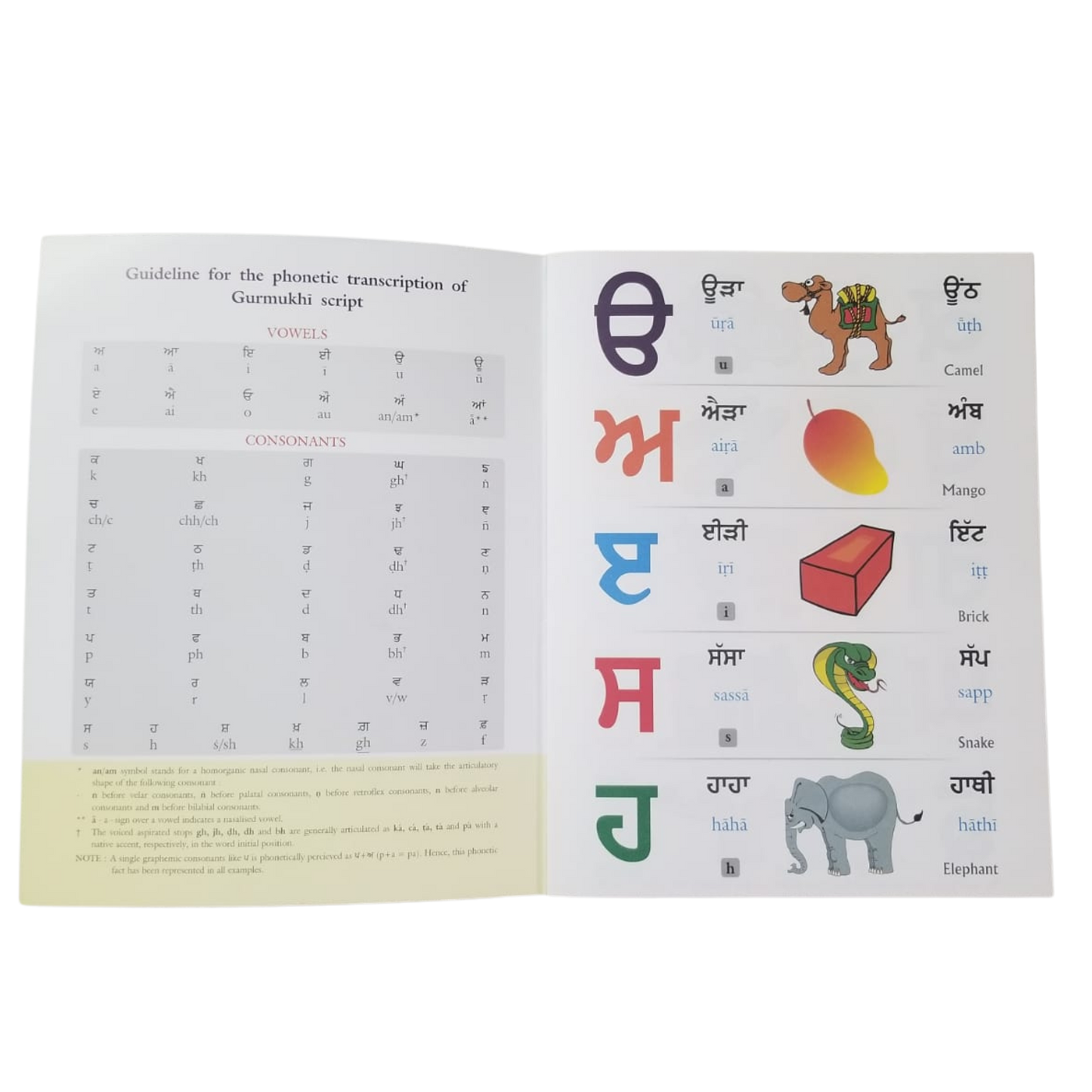ਪੰਜਾਬੀ - Punjabi Book for Beginner