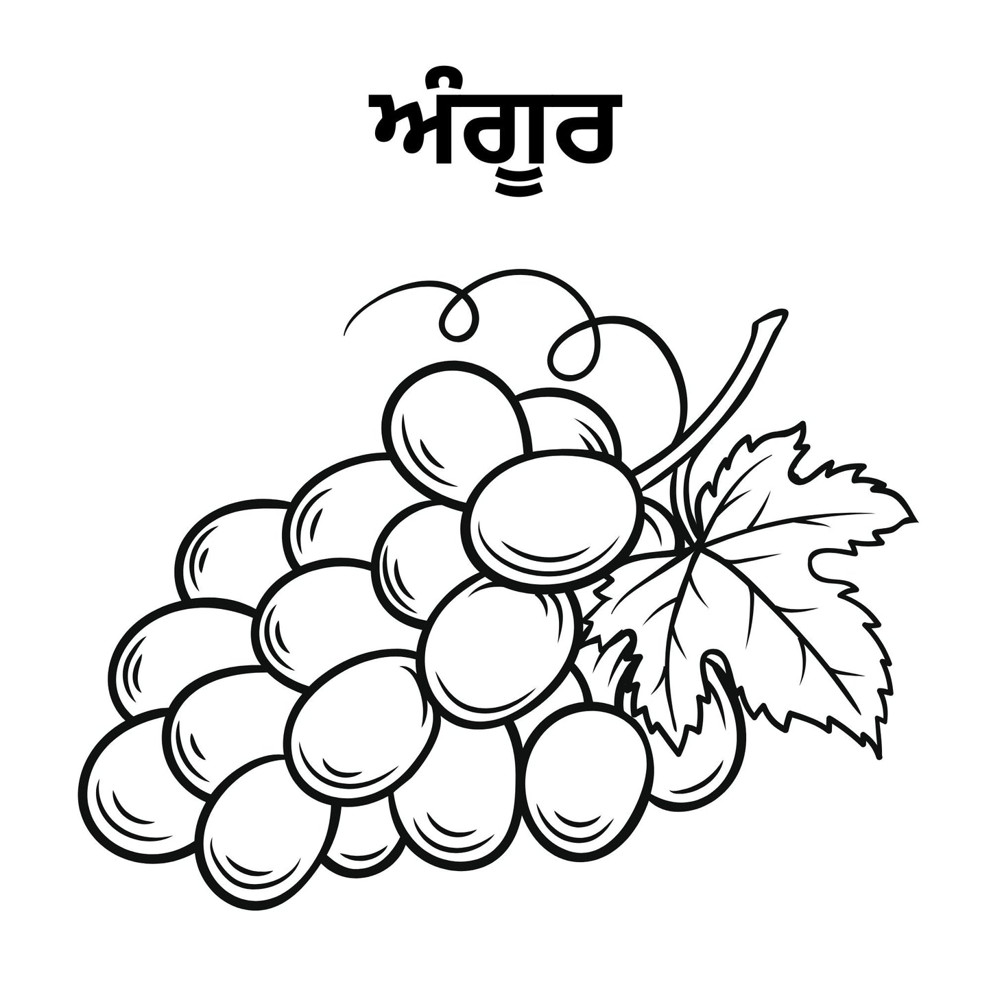 5 Fruits  Name Picture for Drawing and learn the spelling in punjabi.file formats are svg,png and pdf print.