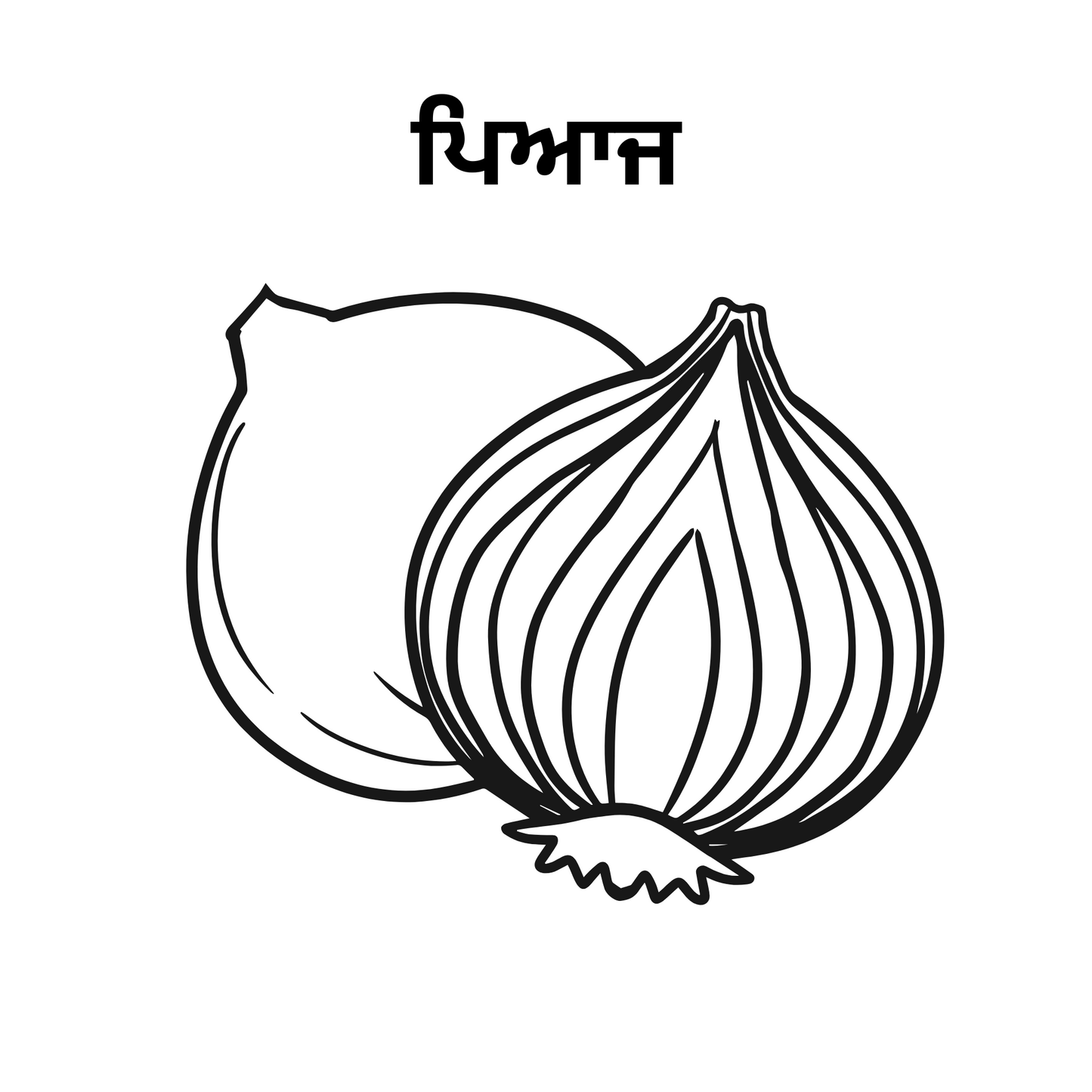 Learn Punjabi - 5 Vegetable Name Picture for Drawing and learn the spelling in punjabi.file formats are svg,png and pdf print.