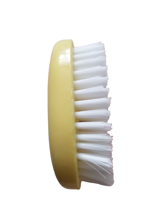 Oval Beard Brush | Black Walnut | Black Boar Bristles | Medium Soft